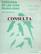 Imagen de cubierta local