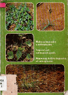 Imagen de cubierta local