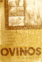 Imagen de cubierta local