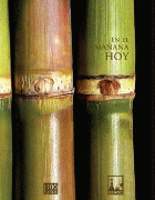 Imagen de cubierta local